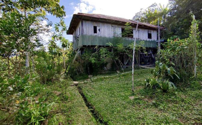 Farm/Ranch for Sale E20, Cotapino, Loreto Canton. Photo#14 Farm/Ranch for Sale E20, Cotapino, Loreto Canton. Photo#14