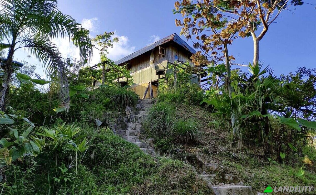 Farm/Ranch for Sale E20, Cotapino, Loreto Canton, Orellana, Ecuador. Photo 16