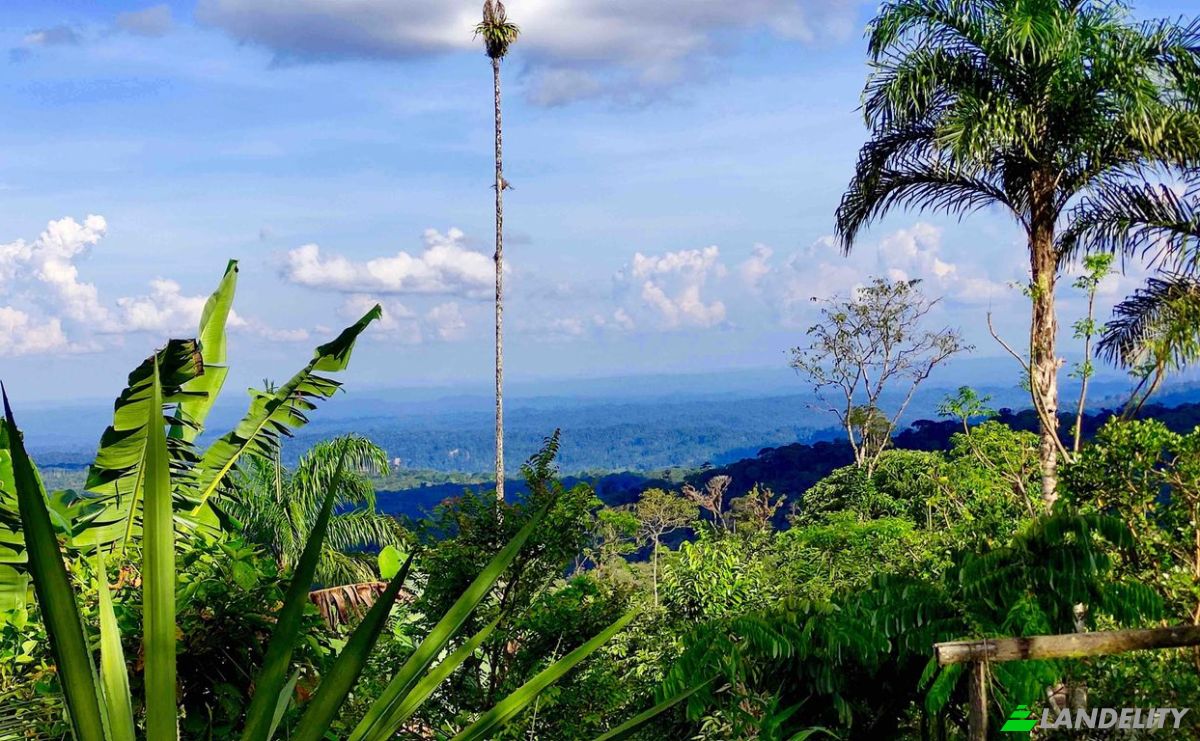 Farm/Ranch for Sale E20, Cotapino, Loreto Canton, Orellana, Ecuador. Photo 17