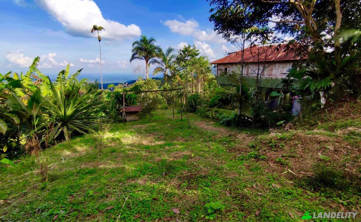 Farm/Ranch for Sale E20, Cotapino, Loreto Canton, Orellana, Ecuador. Photo 3