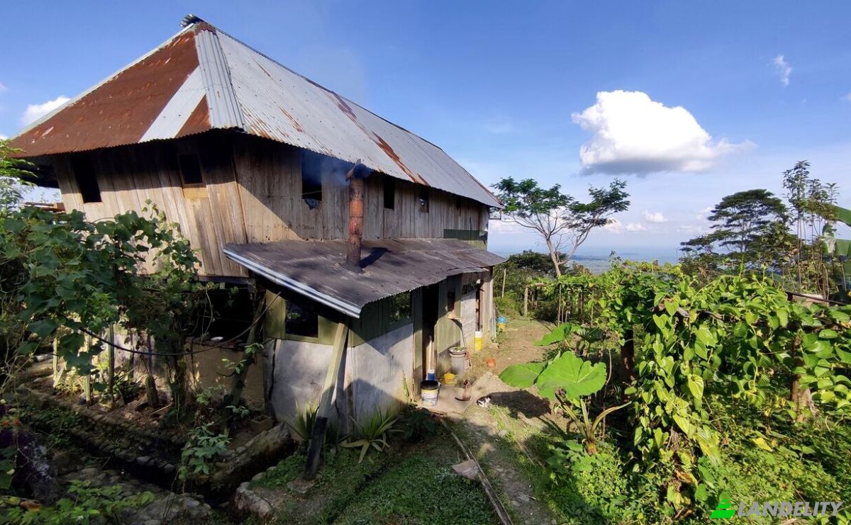 Farm/Ranch for Sale E20, Cotapino, Loreto Canton, Orellana, Ecuador. Photo 6