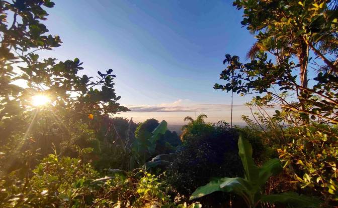 Farm/Ranch for Sale E20, Cotapino, Loreto Canton. Photo#7 Farm/Ranch for Sale E20, Cotapino, Loreto Canton. Photo#7
