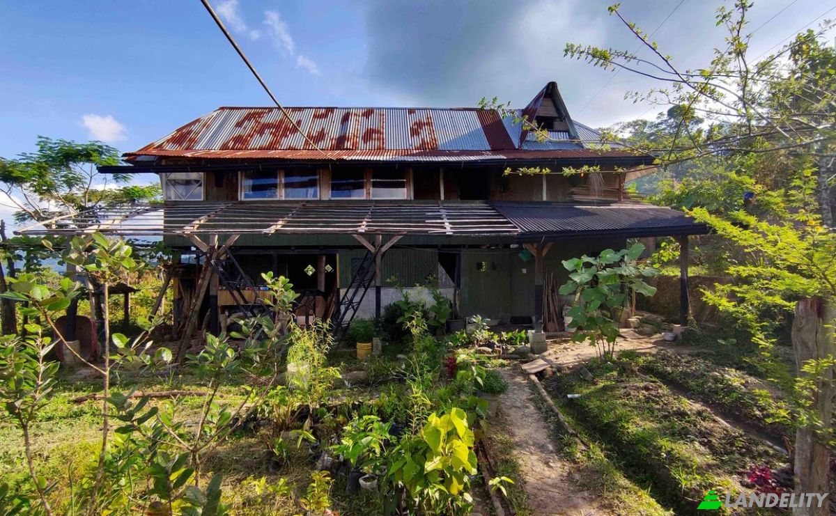 Farm/Ranch for Sale E20, Cotapino, Loreto Canton, Orellana, Ecuador. Photo 8