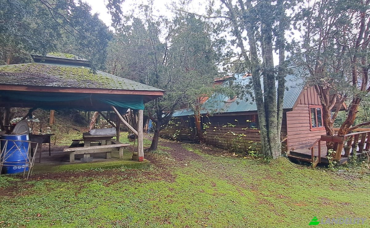 Land Lot for Sale Via Sin Nombre, Puerto Octay, Puerto Rico, Osorno Province, Los Lagos, Chile. Photo 4