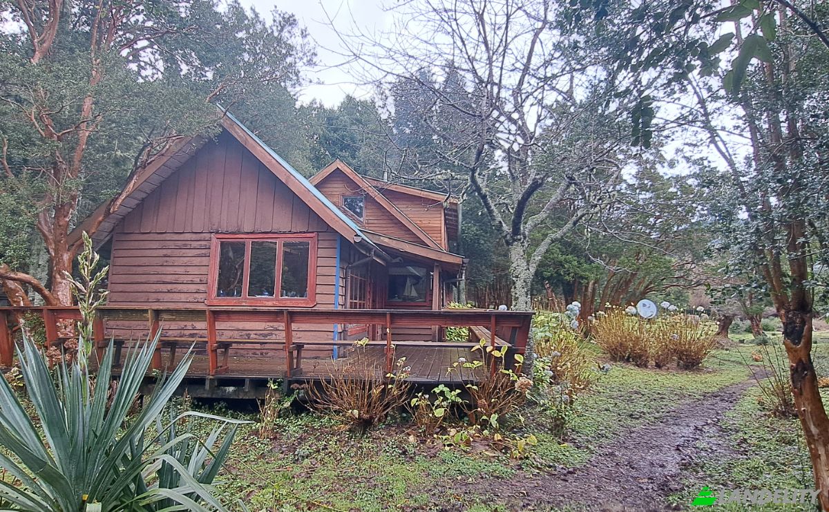 Land Lot for Sale Via Sin Nombre, Puerto Octay, Puerto Rico, Osorno Province, Los Lagos, Chile. Photo 5