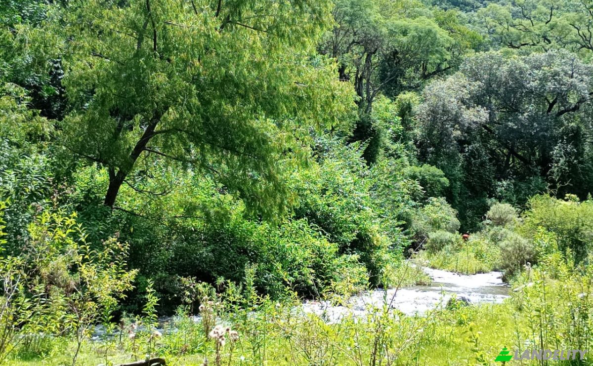 Investing/Development for Sale Concepcion, Capayan Department, Catamarca Province, Argentina. Photo 4