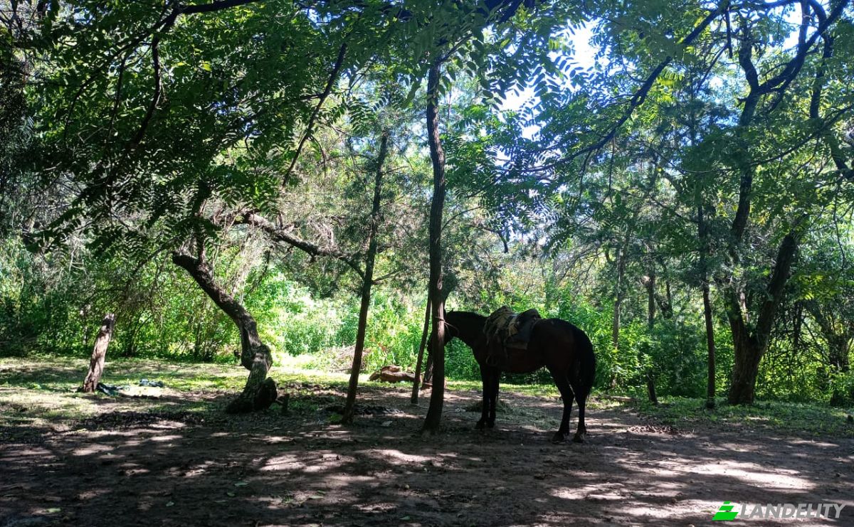 Investing/Development for Sale Concepcion, Capayan Department, Catamarca Province, Argentina. Photo 6