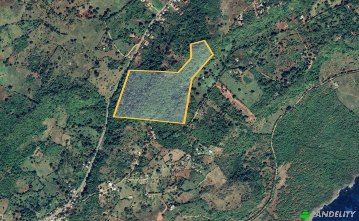 Działka na sprzedaż La Llanada en Medio, 32000, Las Galeras, Samana, Samana Province, Dominican Republic. Zdjęcie 2