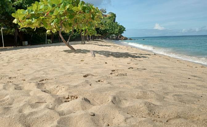 Villa for Sale St Georges, Calliste, Saint George. Photo#5