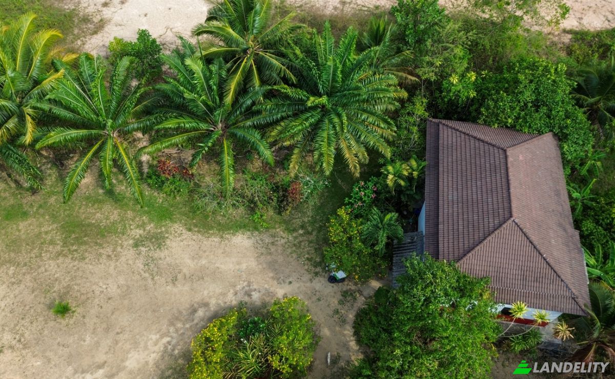 Investing/Development for Sale Phet Kasem Rd, Tambon Thung Maphrao, Amphoe Thai Mueang, Chang Wat Phang-nga 82120, Thung Maphrao, Thai Mueang District, Phang Nga, Thailand. Photo 6