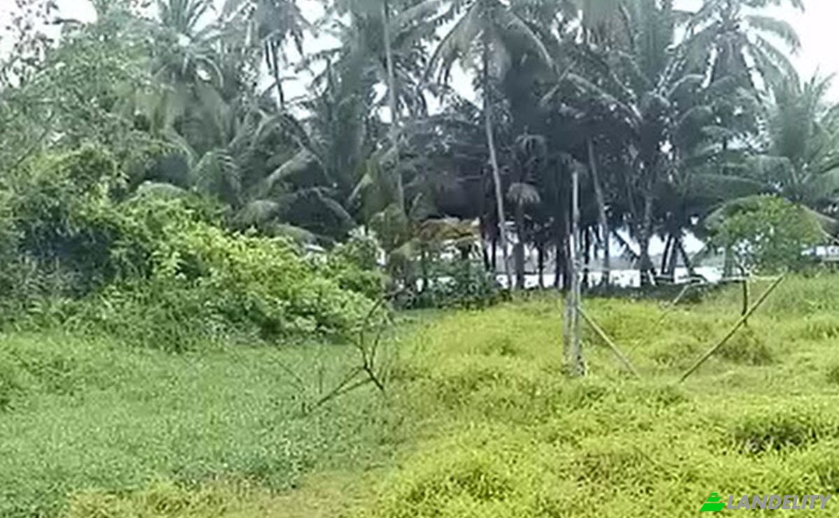 Land Lot for Sale Sipora Jaya, Mentawai Islands Regency, West Sumatra, Indonesia, North Sipora. Photo 7