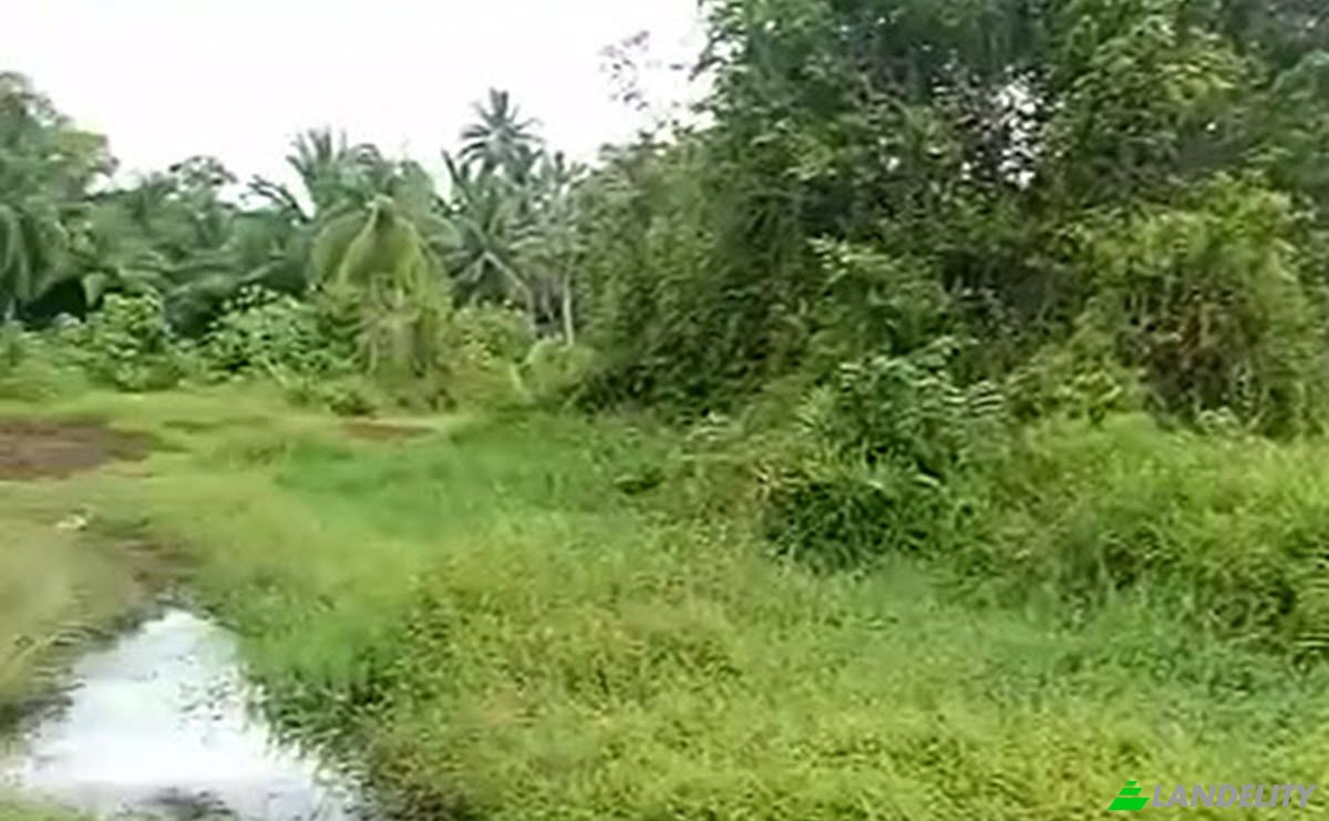 Land Lot for Sale Sipora Jaya, Mentawai Islands Regency, West Sumatra, Indonesia, North Sipora. Photo 8