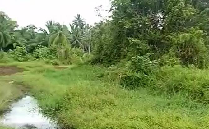 Land Lot for Sale Sipora Jaya. Photo#8