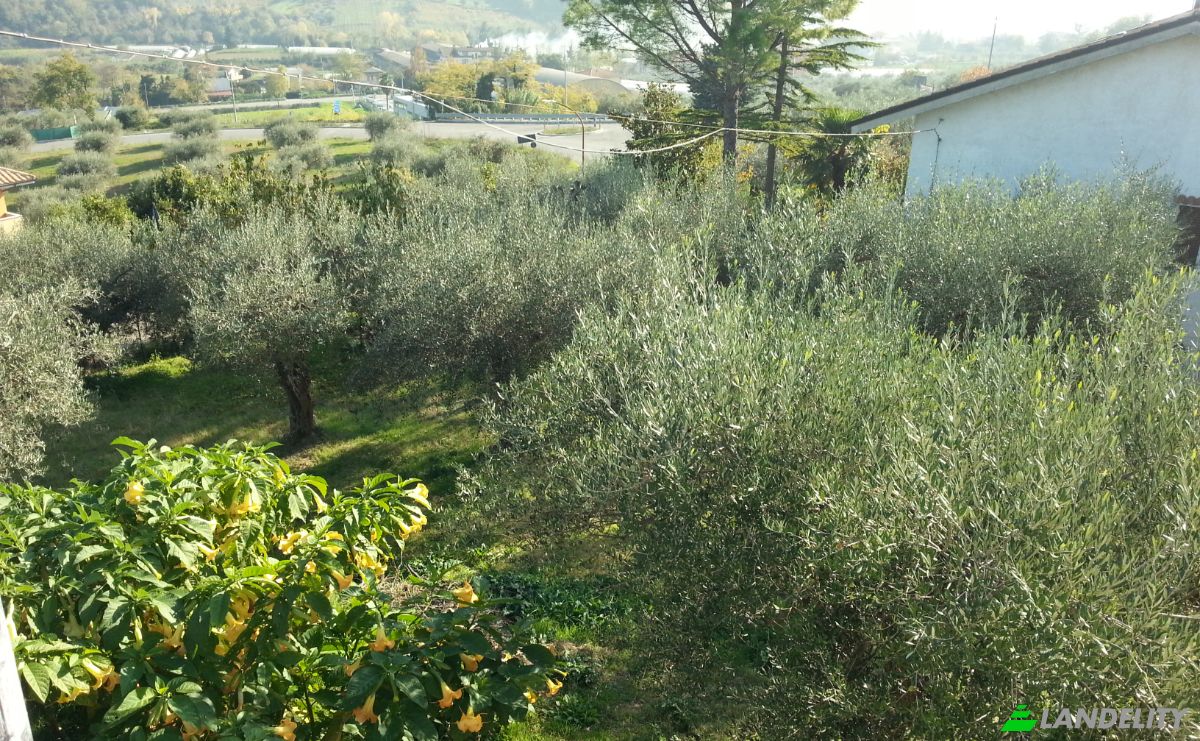 Single Family Home for Sale Via Torremontanara, 2381, 66010 Torremontanara CH, Torremontanara, Province of Chieti, Abruzzo, Italy. Photo 6