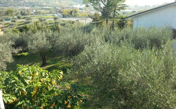 Single Family Home for Sale Via Torremontanara. Photo#6