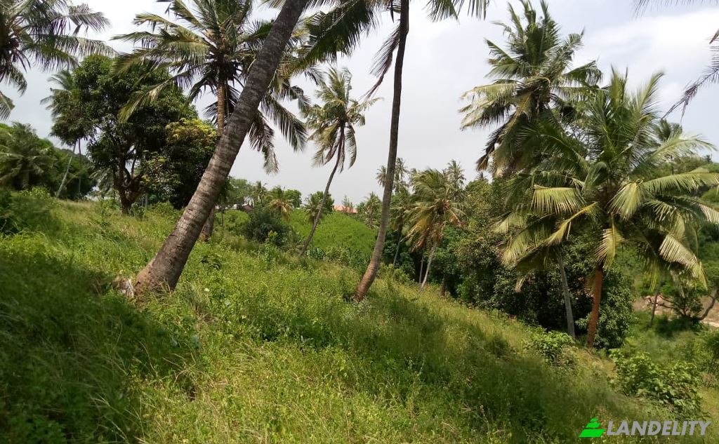 Land Lot for Sale Mombasa, Kisauni, Mombasa County, Kenya. Photo 7
