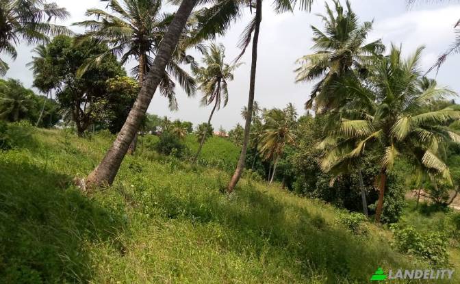 Land Lot for Sale Mombasa, Kisauni, Mombasa County. Photo#7