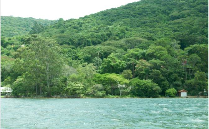 Land Lot for Sale Estr Geral Canto Aracas, 306. Photo#8 Land Lot for Sale Estr Geral Canto Aracas, 306. Photo#8
