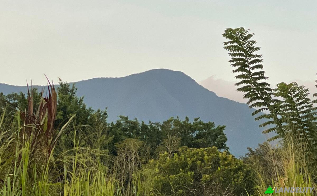 Single Family Home for Sale Jr Los Girasoles, Tarapoto 22200, Tarapoto, San Martin, Peru. Photo 10