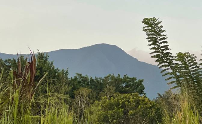 Single Family Home for Sale Jr Los Girasoles. Photo#10