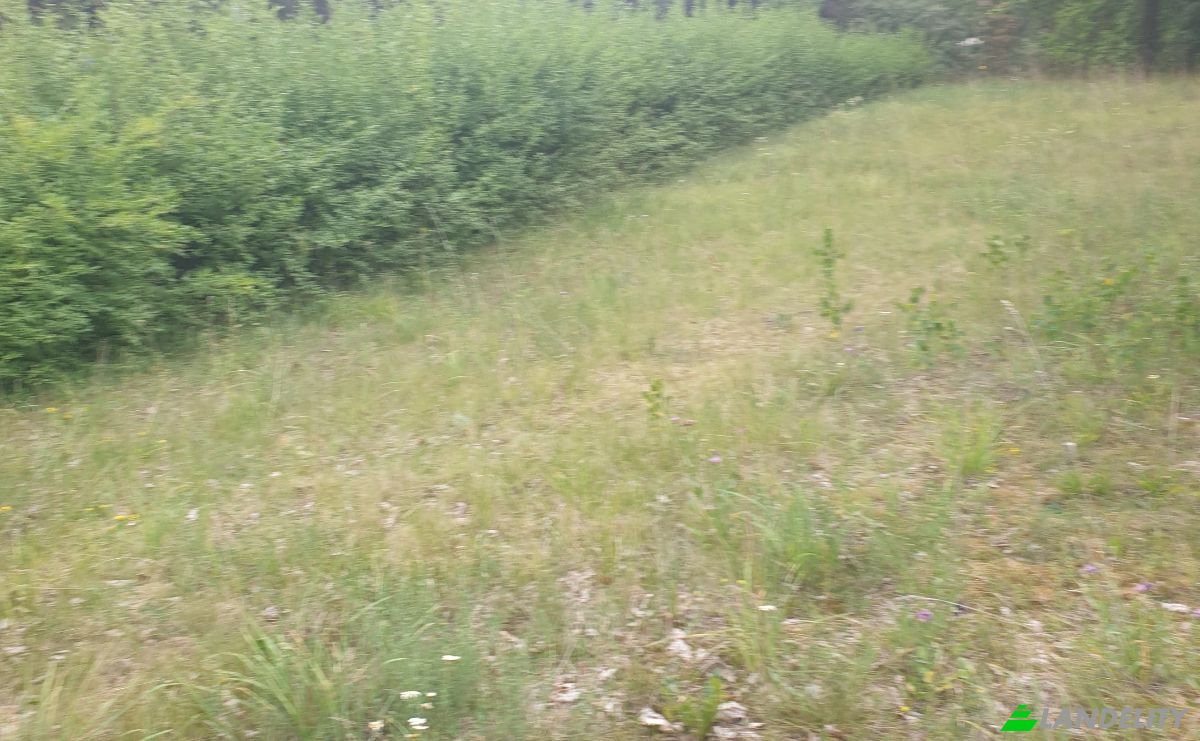 Investing/Development for Sale Laisves g 5A, 41374 Gerkiskes, Gerkiskiai, Birzai District Municipality, Panevezys County, Lithuania. Photo 14