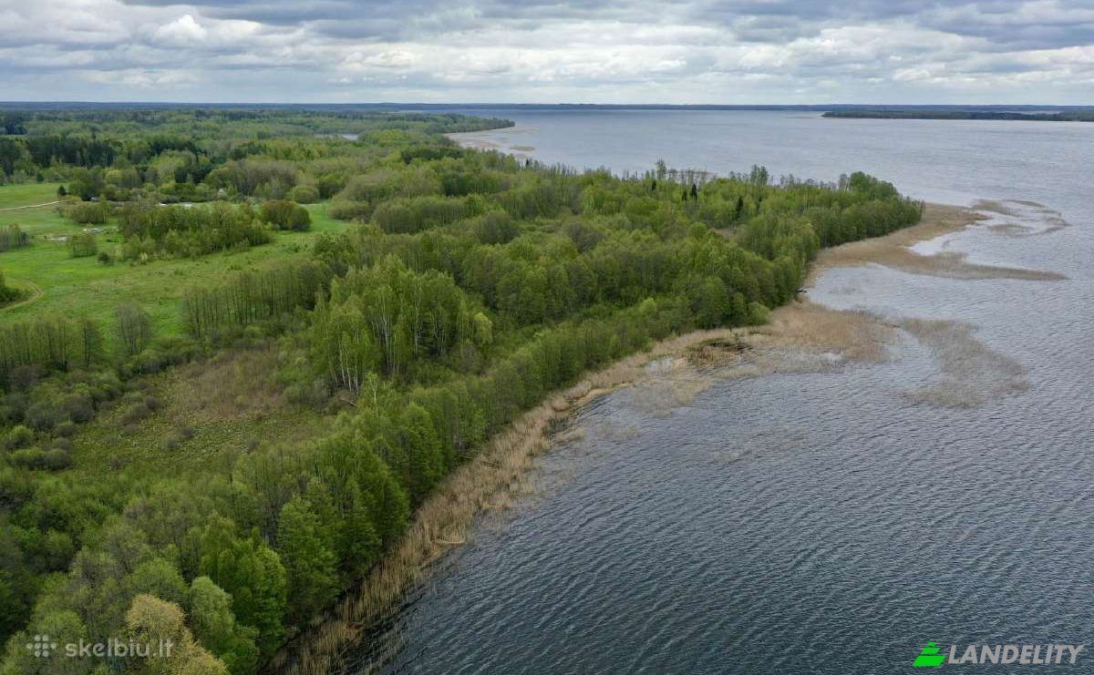 Investing/Development for Sale Kelias Be Pavadinimo, 32200 Budiniai, Budiniai, Zarasai District Municipality, Utena County, Lithuania. Photo 4