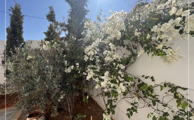 Villa for Sale Bouficha, Sousse Governorate. Photo#10