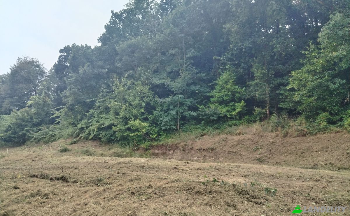 Land Lot for Sale Agadir 80000, Agadir, Agadir-Ida-Ou Tanane Province, Souss-Massa, Morocco. Photo 2