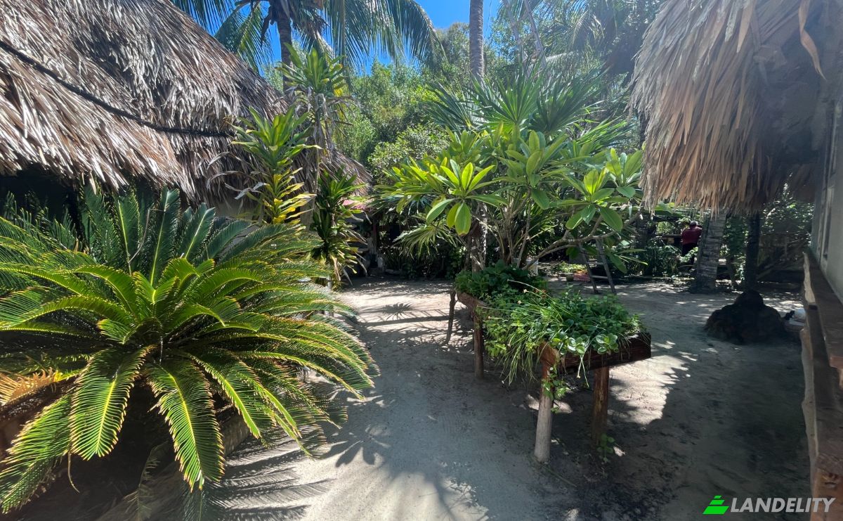 Investing/Development for Sale Calle Chac-Chi esquina, 77310 Holbox, Holbox, Lazaro Cardenas Municipality, Quintana Roo, Mexico. Photo 8
