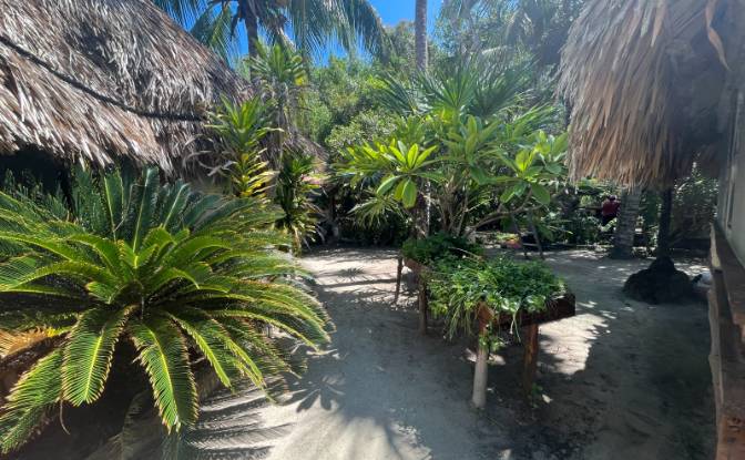Investing/Development for Sale Calle Chac-Chi. Photo#8 Investing/Development for Sale Calle Chac-Chi. Photo#8