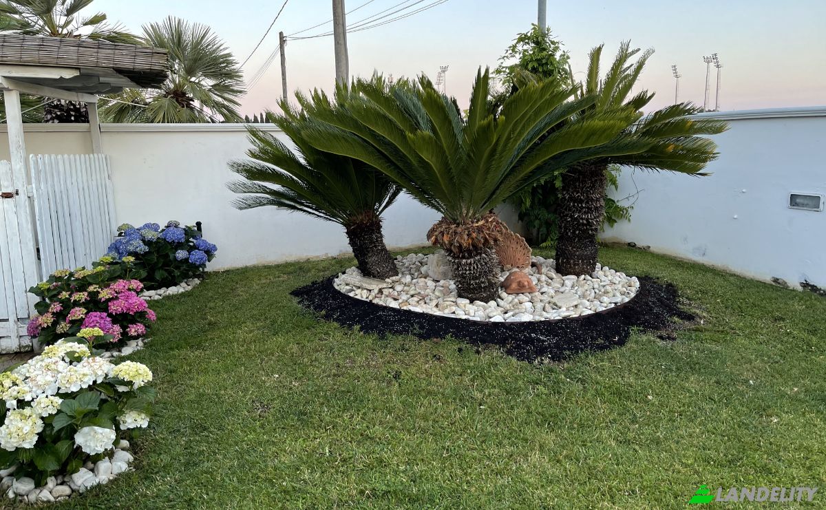 Villa for Sale Via Tarquinia, 00048 Nettuno RM, Nettuno, Metropolitan City of Rome Capital, Lazio, Italy. Photo 3