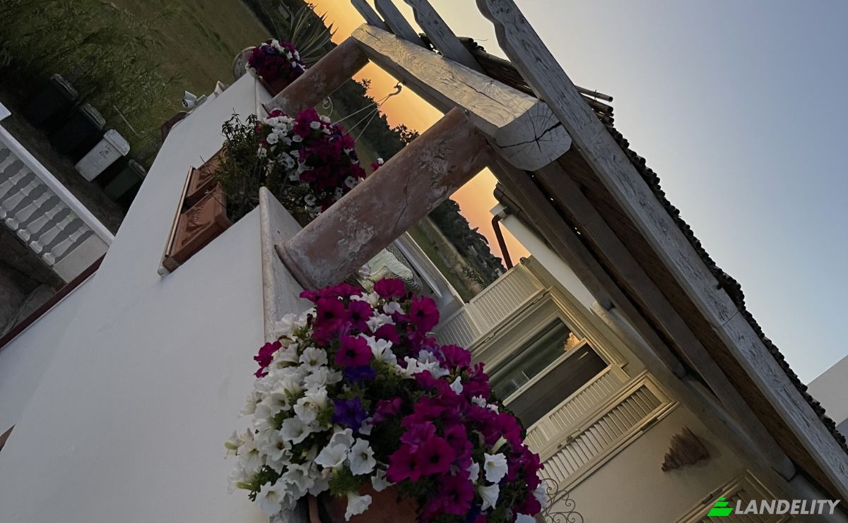 Villa for Sale Via Tarquinia, 00048 Nettuno RM, Nettuno, Metropolitan City of Rome Capital, Lazio, Italy. Photo 5