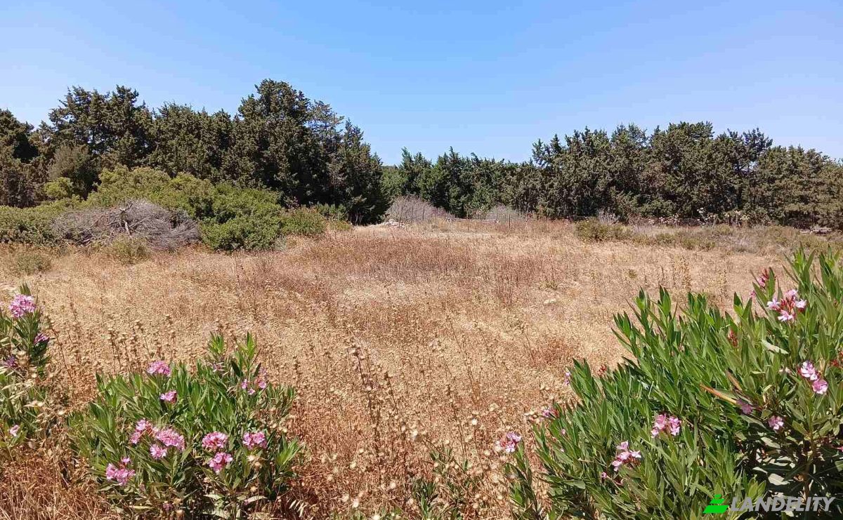 Investing/Development for Sale EparOd Plimiriou, Rodos 851 09, Lardos, Southern Aegean, Decentralized Administration of the Aegean, Greece. Photo 4