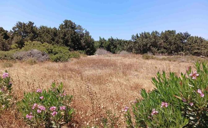 Investing/Development for Sale EparOd Plimiriou. Photo#4 Investing/Development for Sale EparOd Plimiriou. Photo#4
