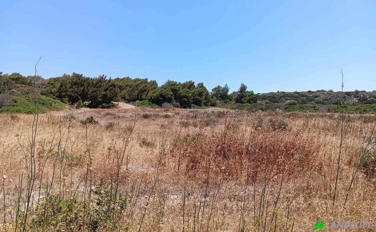 Investing/Development for Sale EparOd Plimiriou, Rodos 851 09, Lardos, Southern Aegean, Decentralized Administration of the Aegean, Greece. Photo 5