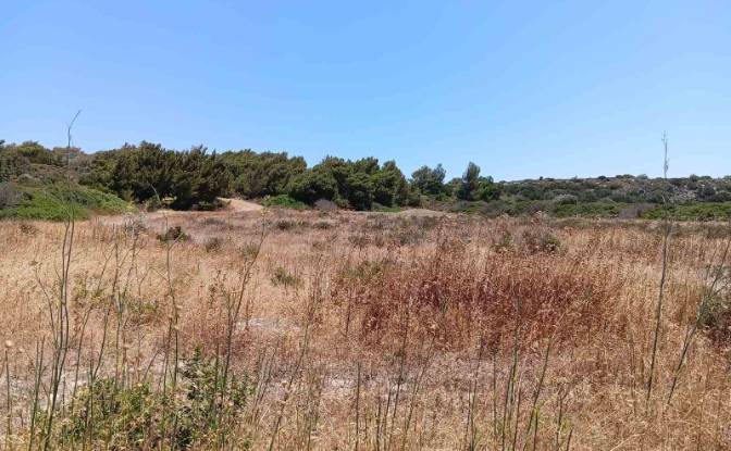 Investing/Development for Sale EparOd Plimiriou. Photo#5 Investing/Development for Sale EparOd Plimiriou. Photo#5