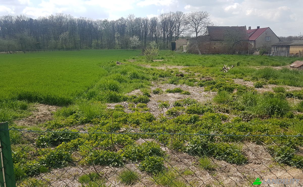 Grondperceel Te koop Puszyna 35, 48-317, Puszyna, Nysa County, Opole Voivodeship, Poland. Foto 1