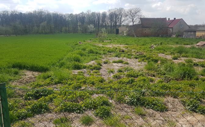 Land Lot for Sale - Puszyna, Poland
