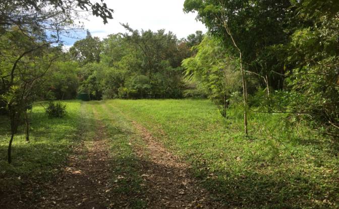Land Lot for Sale Via Sin Nombre. Photo#2 Land Lot for Sale Via Sin Nombre. Photo#2