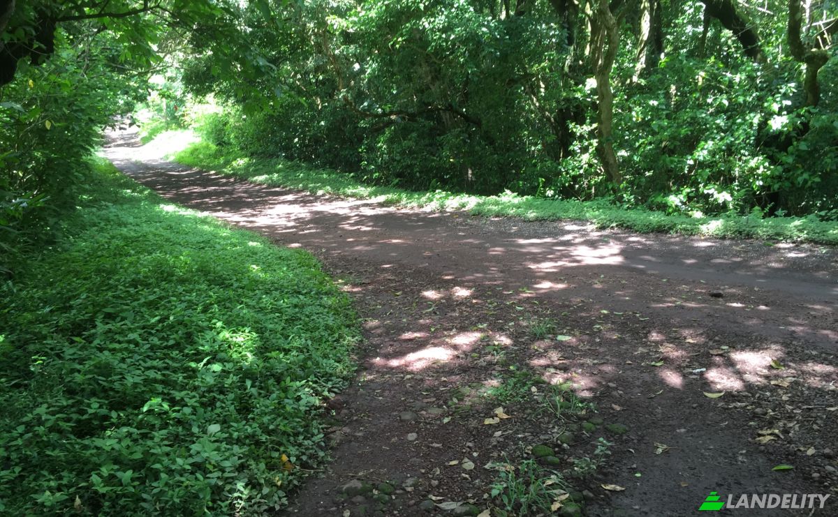 Land Lot for Sale Via Sin Nombre, Provincia de Guanacaste, Tilaran, Guanacaste Province, Costa Rica. Photo 3