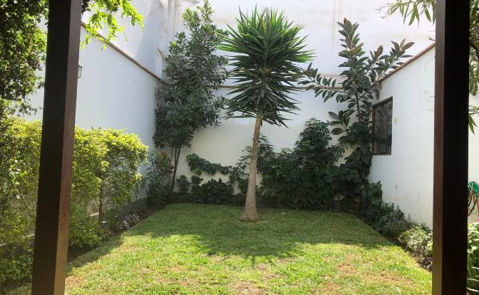 Single Family Home for Sale Cap E Gutierrez Rondon. Photo#9 Single Family Home for Sale Cap E Gutierrez Rondon. Photo#9