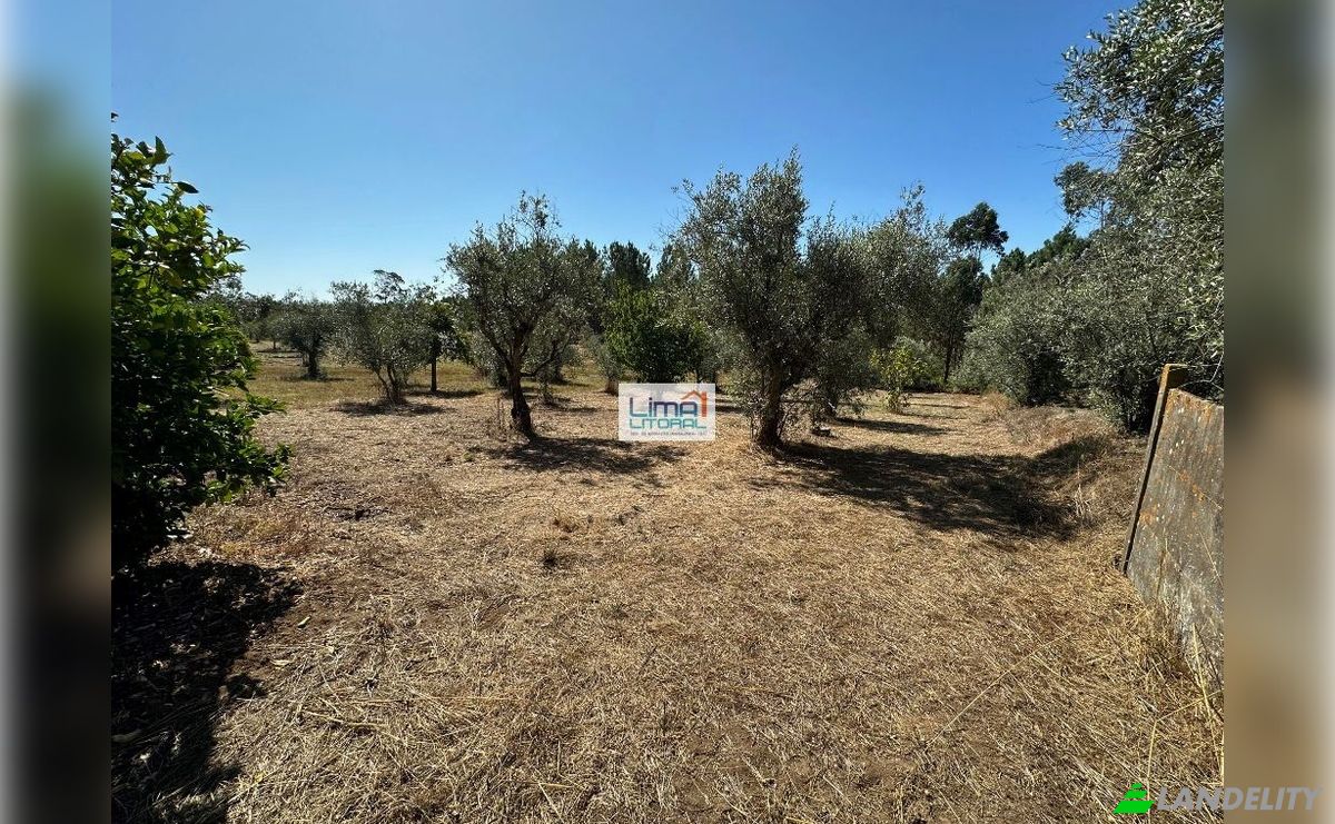 Single Family Home for Sale R da Escola 150, 2435, Espite, Ourem, Santarem District, Portugal. Photo 18