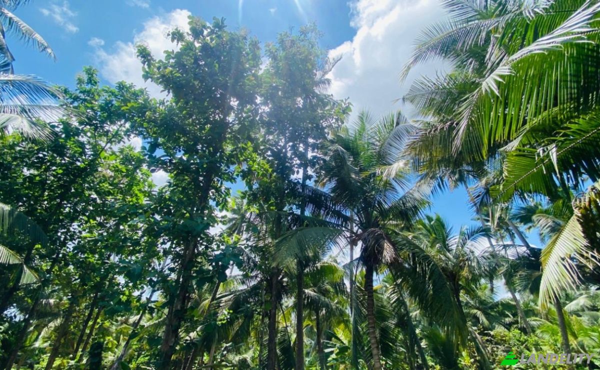 Bungalow for Sale Dummalasuriya, Puttalam, North Western Province, Sri Lanka. Photo 17