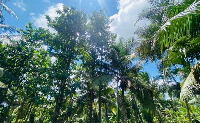 Bungalow for Sale Dummalasuriya, Puttalam. Photo#17 Bungalow for Sale Dummalasuriya, Puttalam. Photo#17