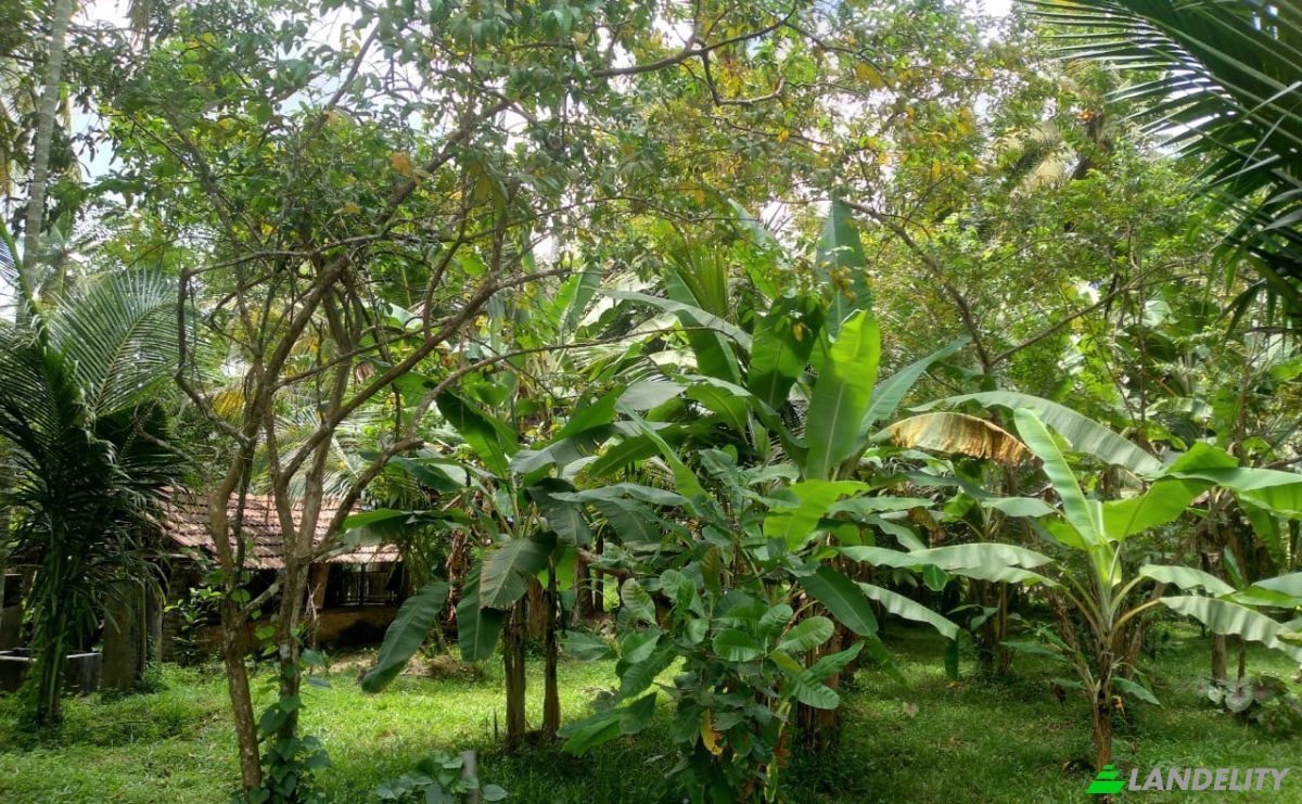 Bungalow for Sale Dummalasuriya, Puttalam, North Western Province, Sri Lanka. Photo 18