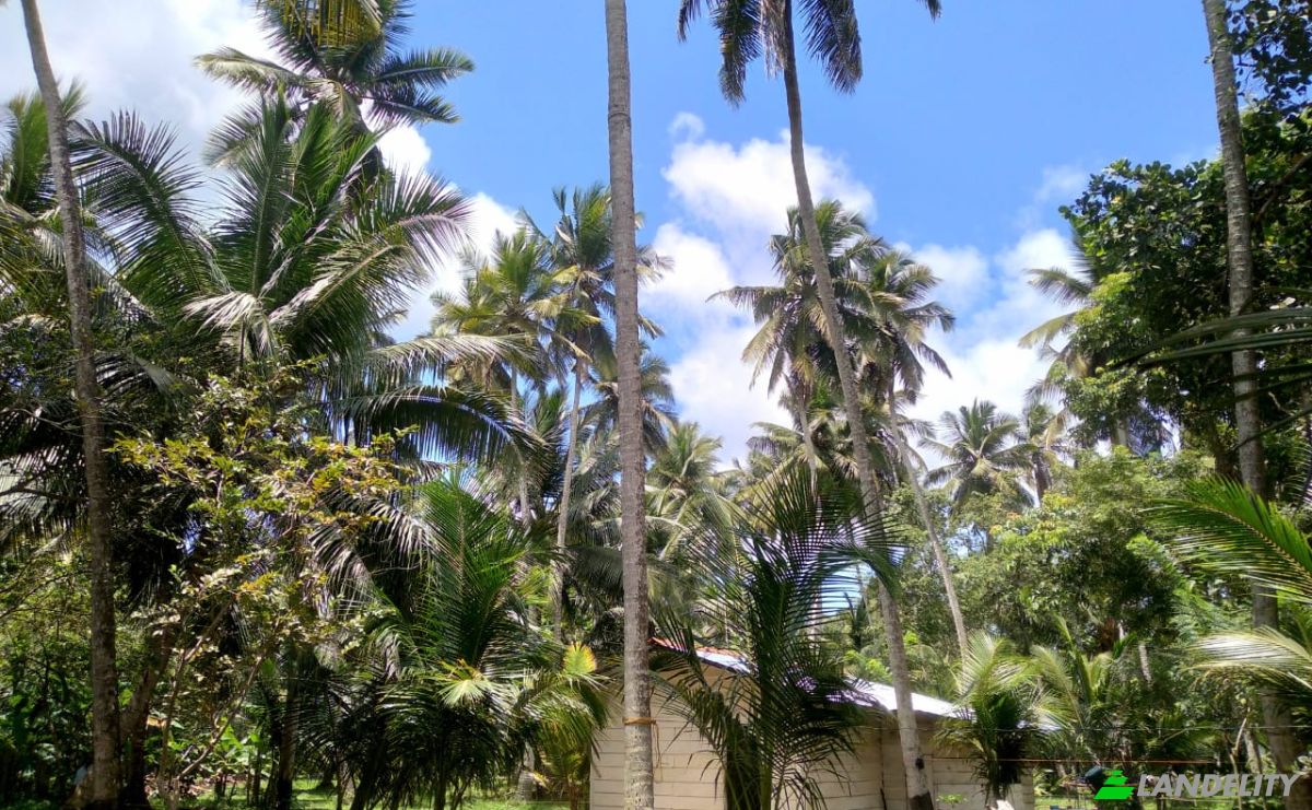 Bungalow for Sale Dummalasuriya, Puttalam, North Western Province, Sri Lanka. Photo 13