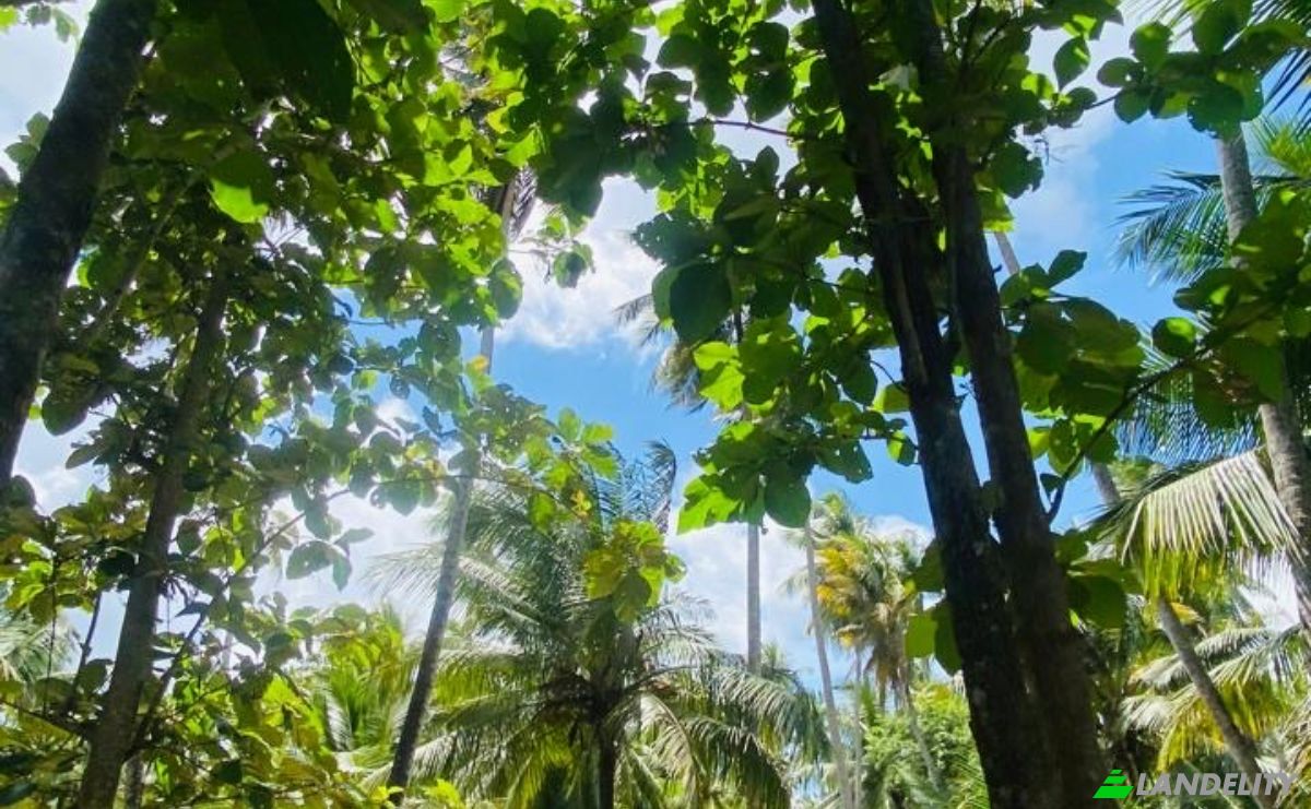 Bungalow for Sale Dummalasuriya, Puttalam, North Western Province, Sri Lanka. Photo 16