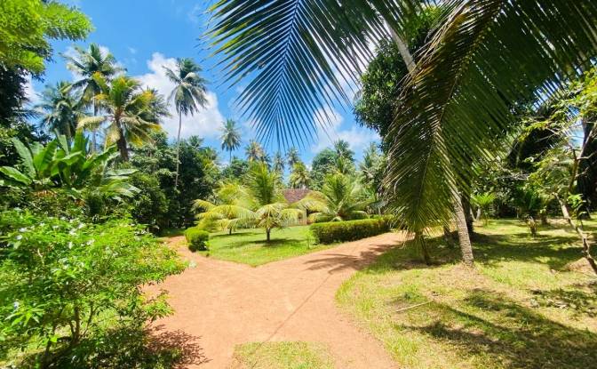 Bungalow for Sale Dummalasuriya, Puttalam. Photo#8 Bungalow for Sale Dummalasuriya, Puttalam. Photo#8