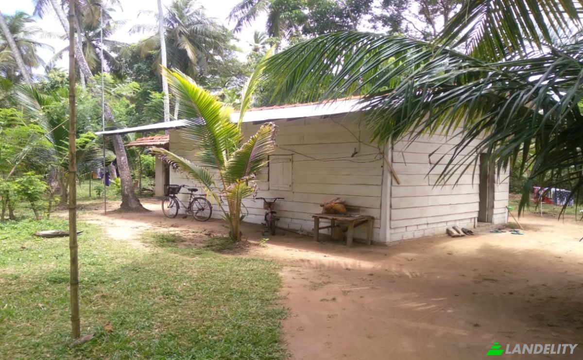 Bungalow for Sale Dummalasuriya, Puttalam, North Western Province, Sri Lanka. Photo 12