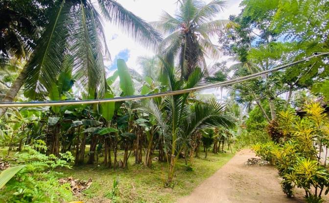 Bungalow for Sale Dummalasuriya, Puttalam. Photo#14 Bungalow for Sale Dummalasuriya, Puttalam. Photo#14